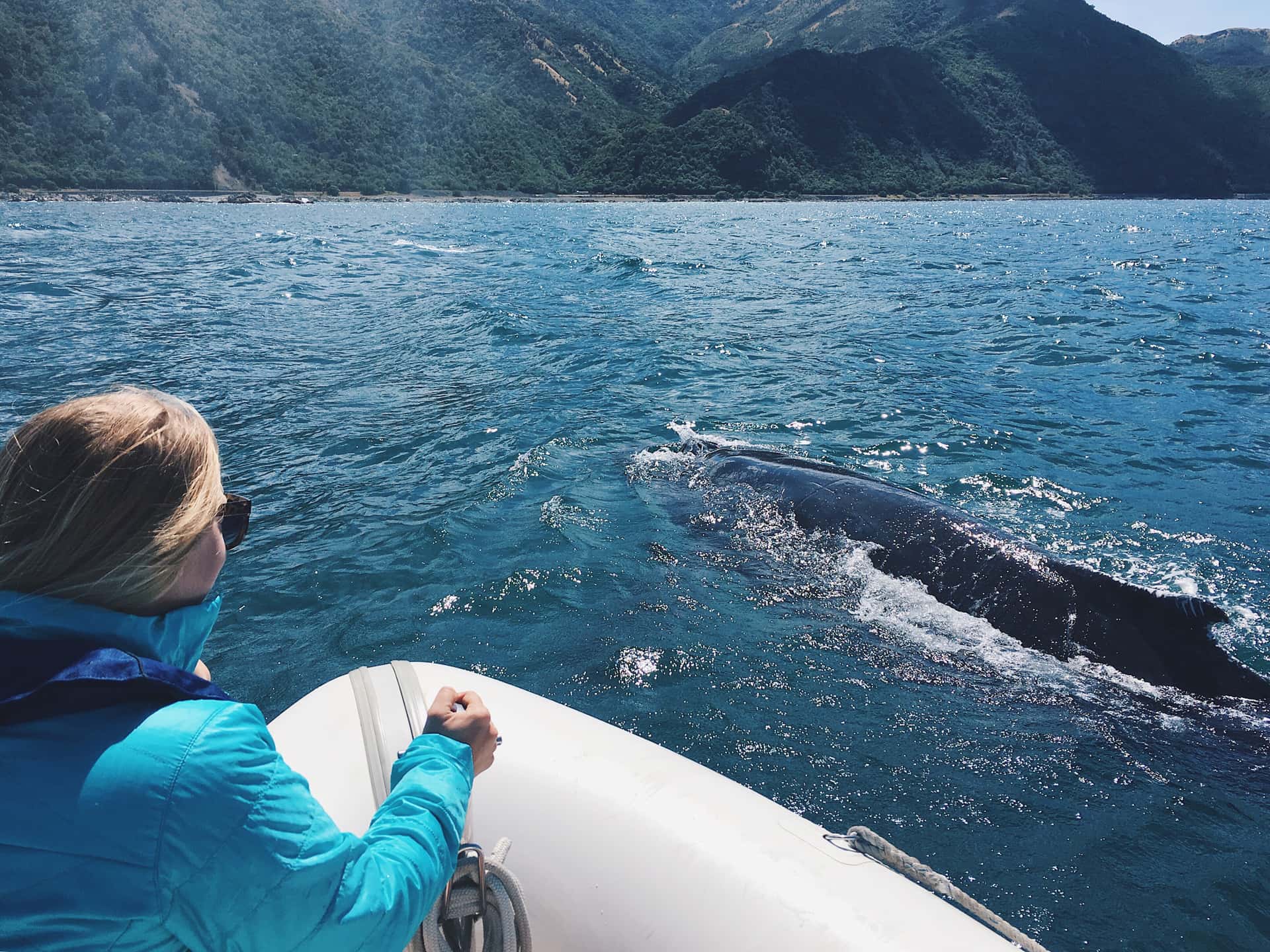 Go whale watching in Australia & New Zealand Summer 2026 Tours