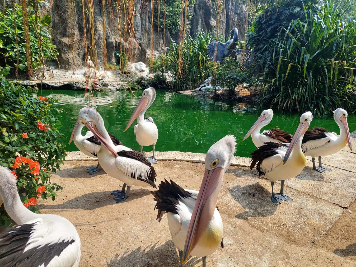 Jurong Bird Park in Singapore Malaysia