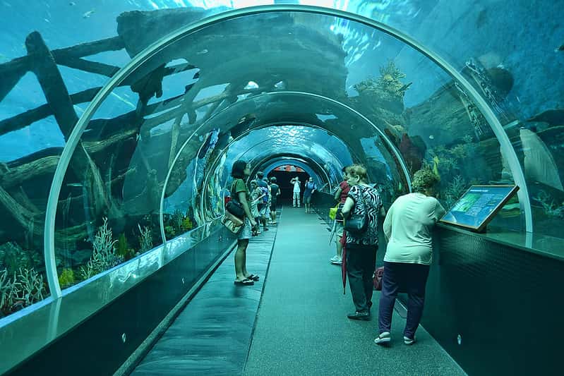 Marine Park S.E.A Aquarium in Singapore Malaysia