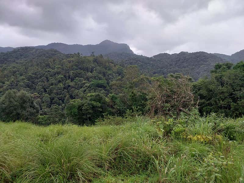 Wayanad in Kerala