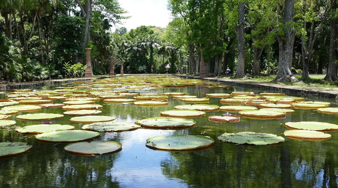 Pamplemousses Botanical Garden
