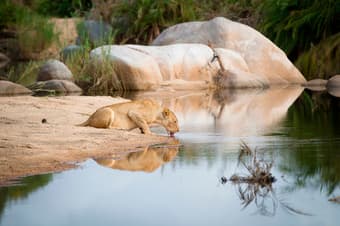 Discovery South Africa Tours