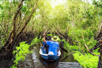 Cruise Through the Mangroves