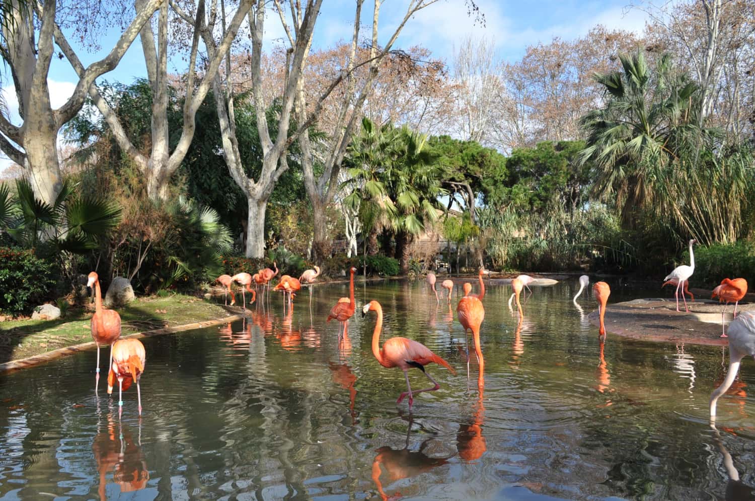 Explore Zoo Miami, one of the nation’s top-rated zoos in USA & Canada Monsoon Tours