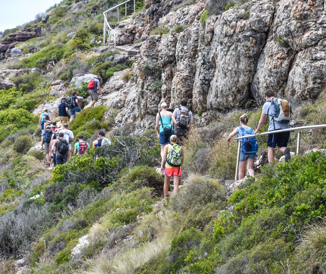 Hike Table Mountain