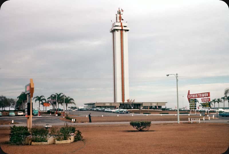 See Views For Miles and Miles From Citrus Tower in USA & Canada Monsoon Tours