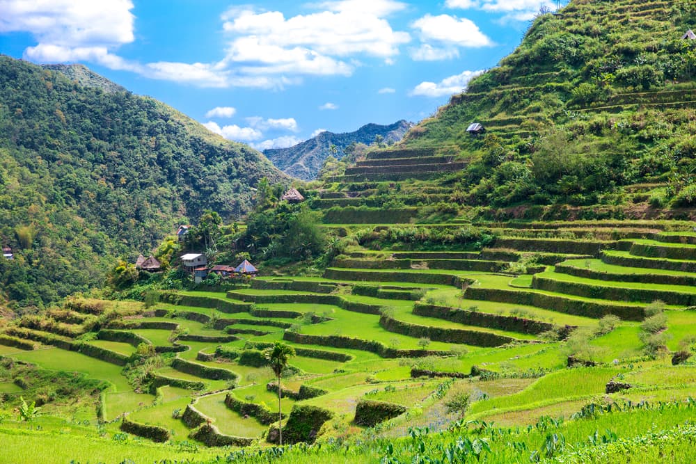 See the Beauty of The Banaue Rice Terraces