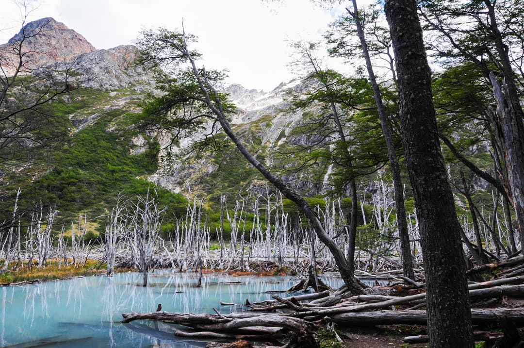 Shonga-tser Lake
