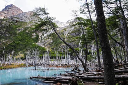 Shonga-tser Lake