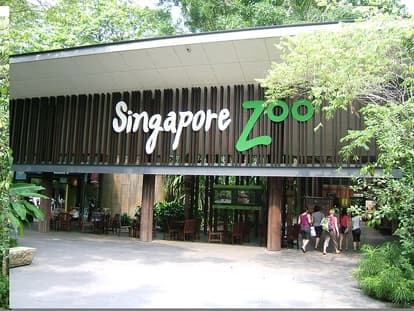Spend The Day At The Singapore Zoo