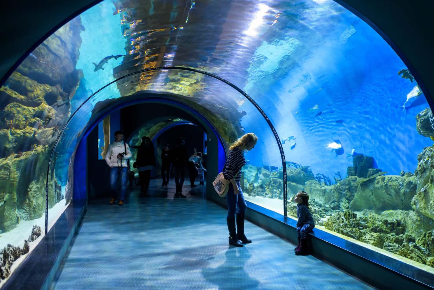 Tempozan Harbor Village with Kaiyukan Aquarium in China-Japan Senior Citizen Tours