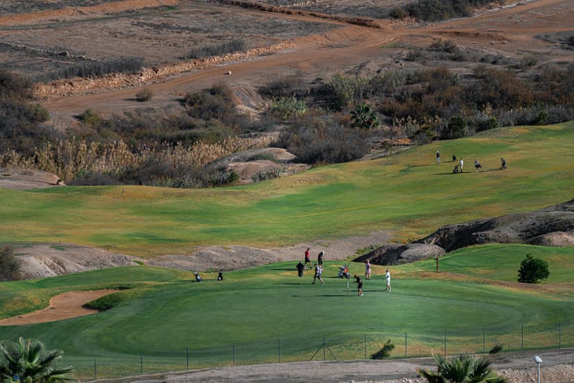 Try Your Hands at Golfing