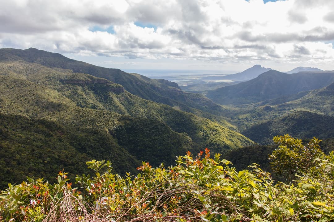 Black River Gorges National Park