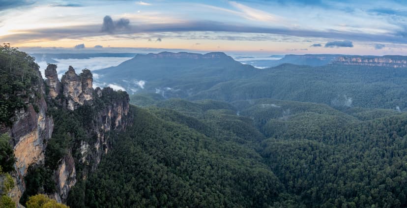 Blue Mountain Tour