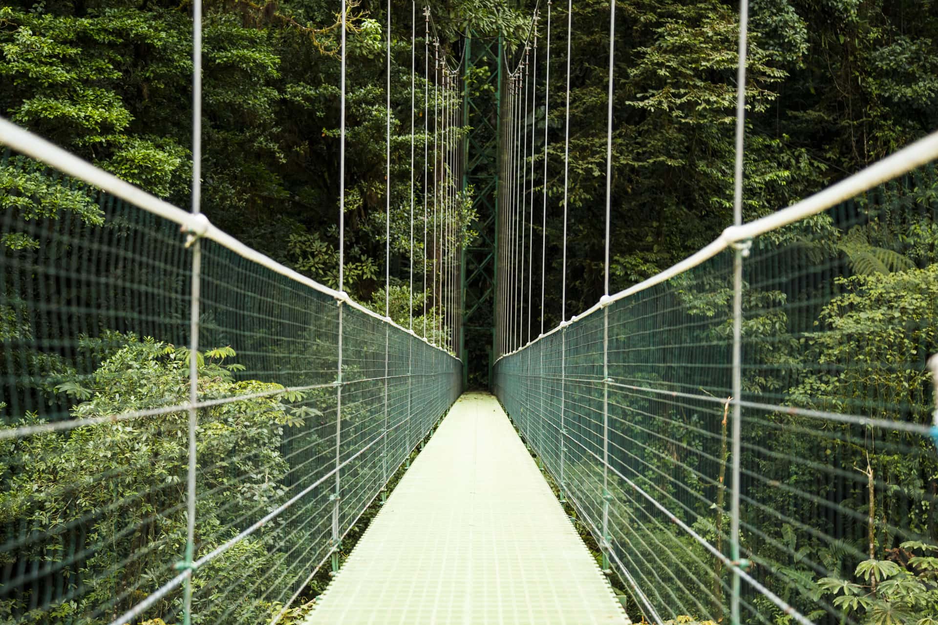 Capilano Suspension Bridge in Canada Maharaj Tour