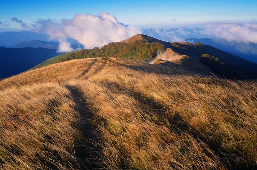 Climb The Tallest Mountain In The Philippines - Mt. Apo
