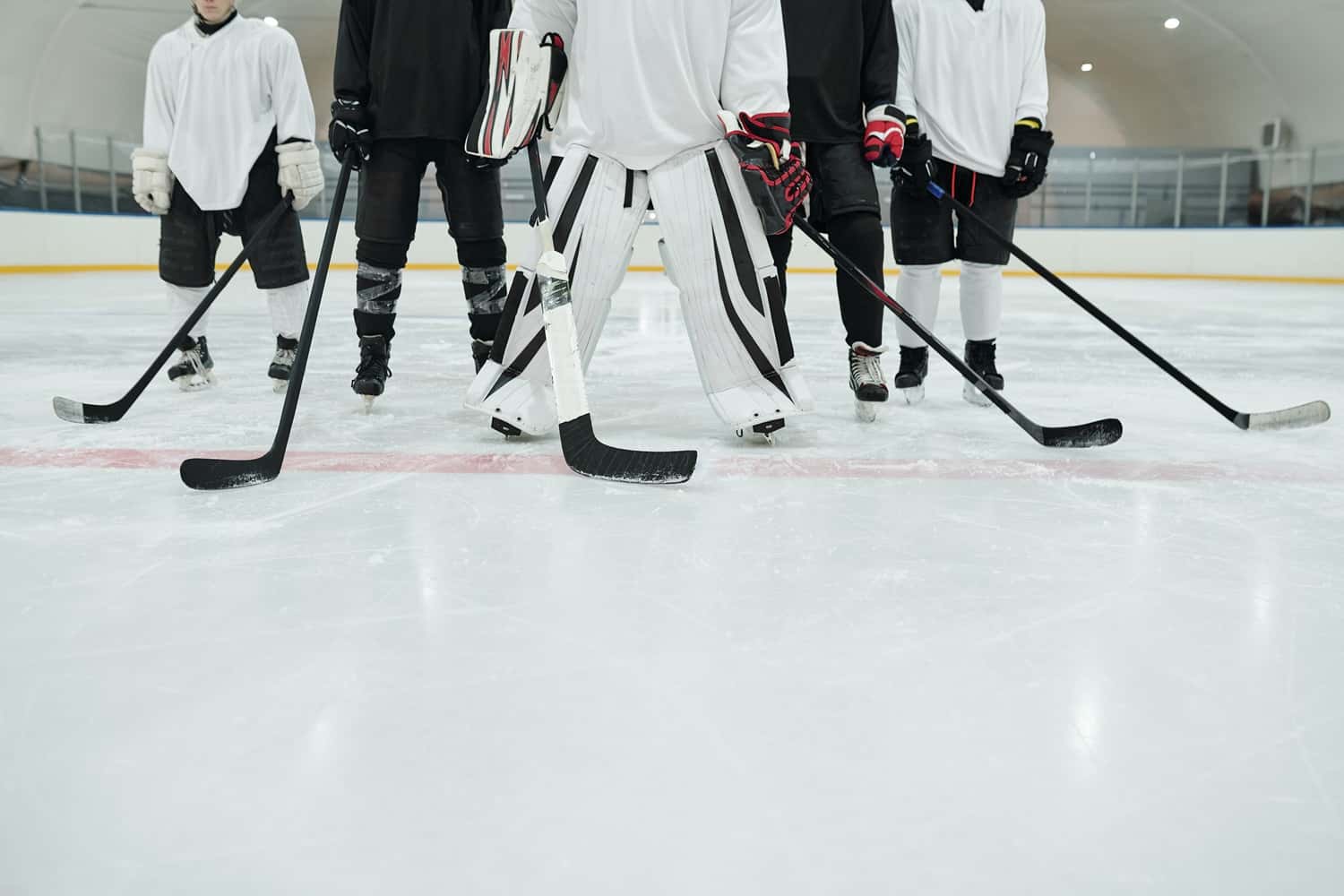 Get Up Close To An Ice Hockey Team in Canada Maharaj Tour
