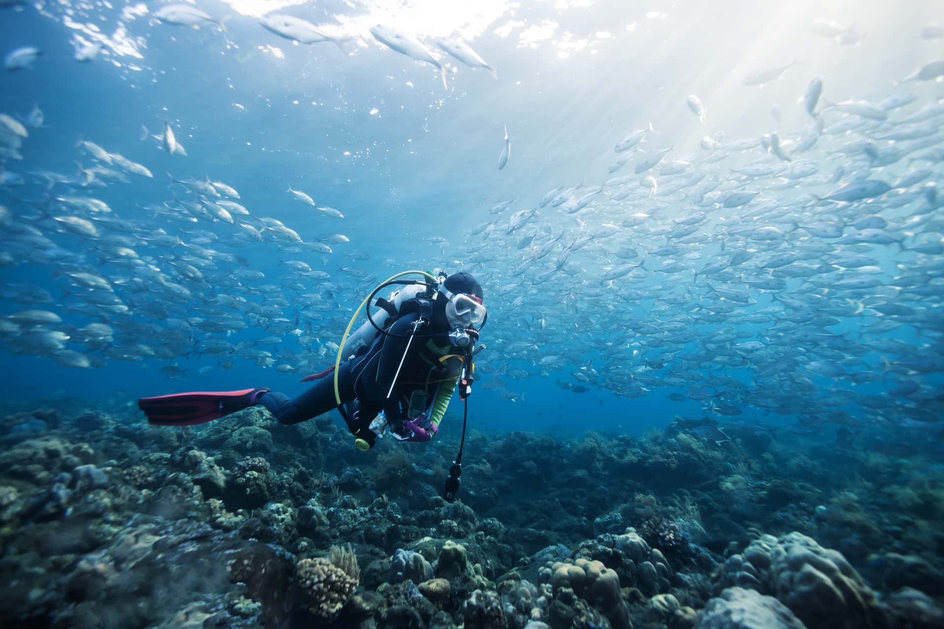 Go Snorkelling And Scuba Diving in Europe tour packages from Delhi