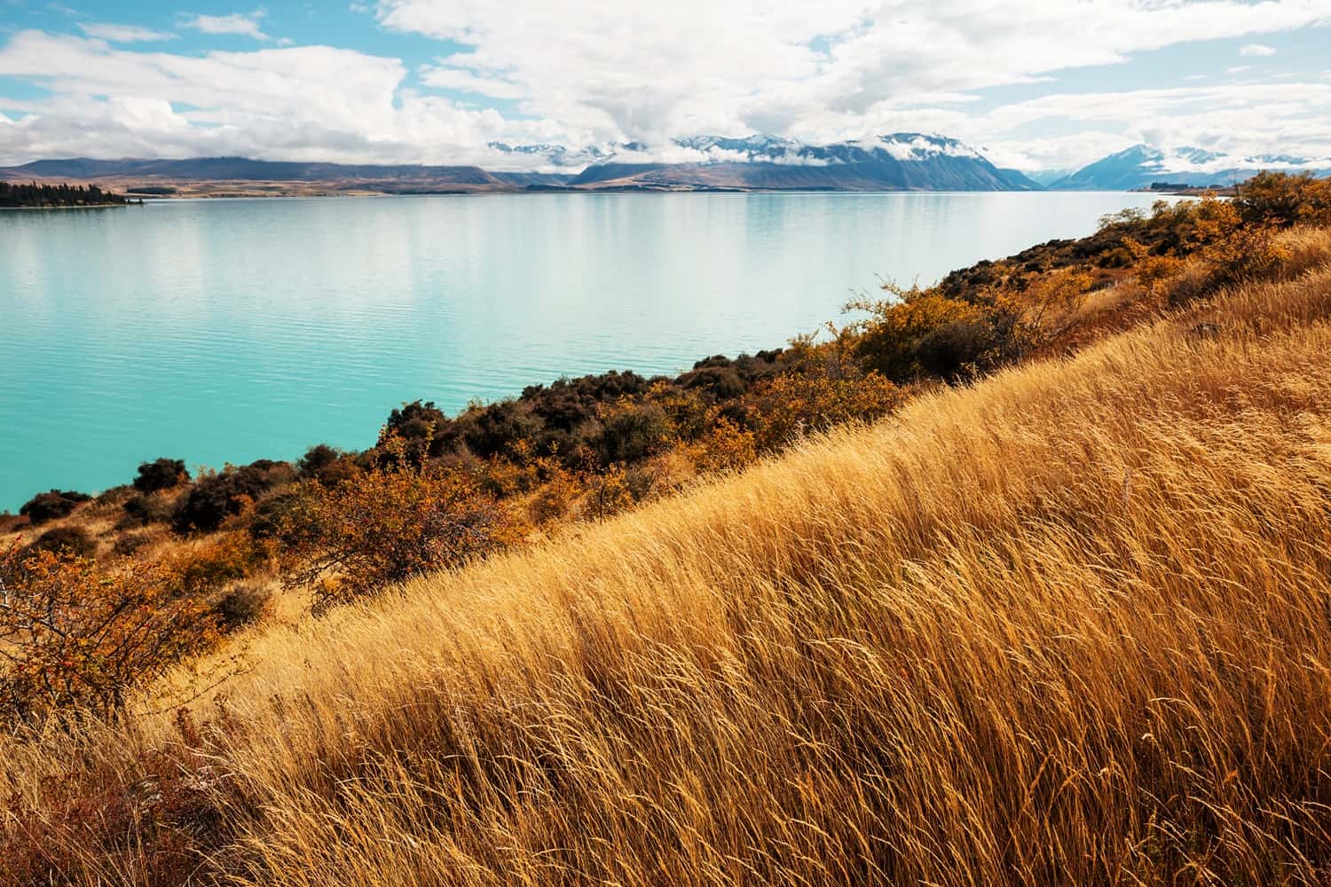 Great Barrier Island in Australia & New Zealand Summer 2026 Tours