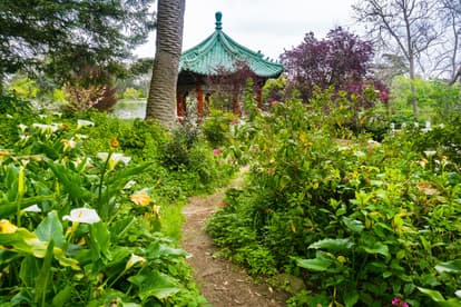 Learn About Spices At A Spice Garden
