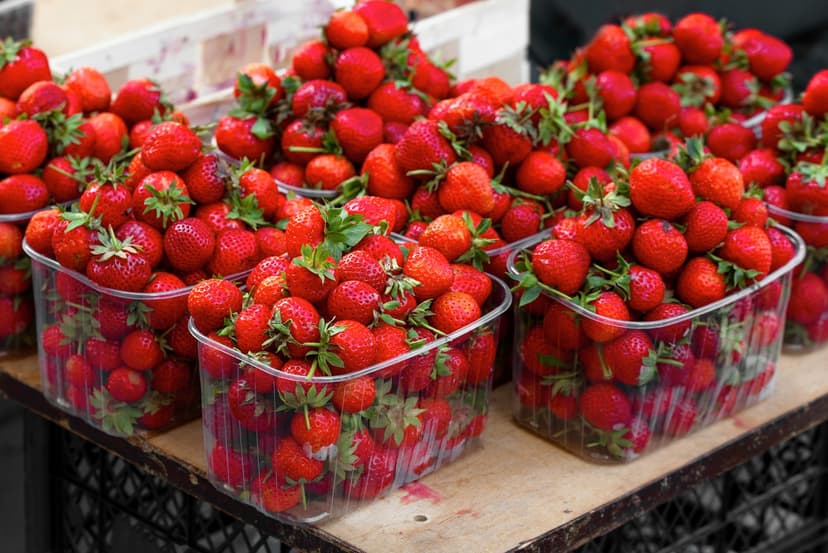 Relish Strawberries At Adma Agro Farm