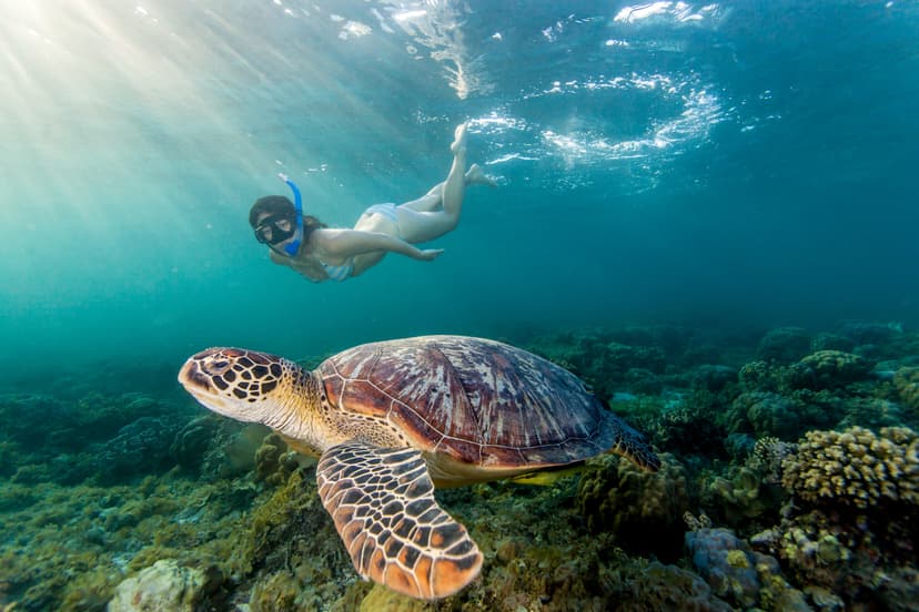 Snorkel in the Indian Ocean