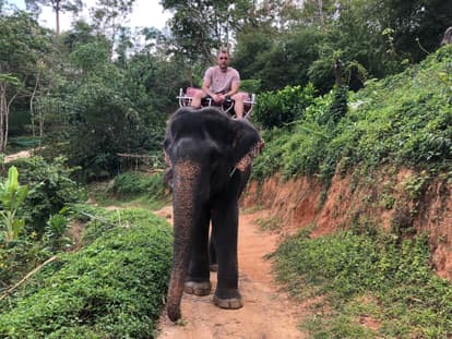 Take An Elephant Ride